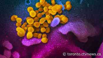 Tracking Ontario's 403,571 cases of COVID-19