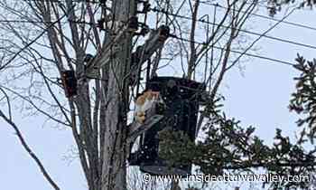 News'Purr-fect' ending after cat is rescued from Carleton Place hydro pole in freezing weather - Ottawa Valley News