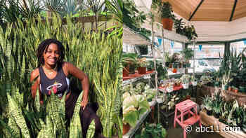 Local plant nursery blooms inside abandoned police kiosk in New Jersey