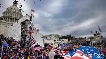 DC police on Capitol's west side called for help 17 times during riot: report