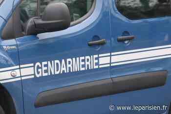 Lardy : trois gendarmes blessés au couteau par un déséquilibré - Le Parisien