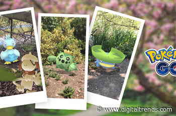 Pokémon Go gets a special New Pokémon Snap event featuring a shiny Smeargle