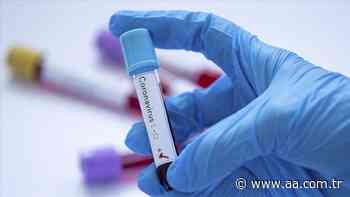 Coronavirus situation updated in 5 Arab countries - Anadolu Agency