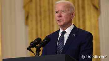 Biden administration still seizing land near border despite plans to stop building wall: report