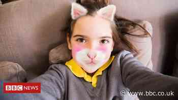 Facebook urged to scrap Instagram for children plans