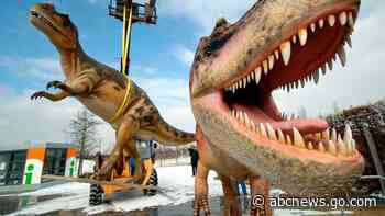 Study: 2.5 billion T. rex roamed Earth, but not all at once