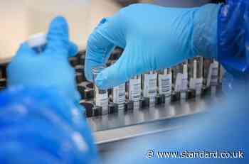 Government denies plan to halt rapid coronavirus testing - Evening Standard