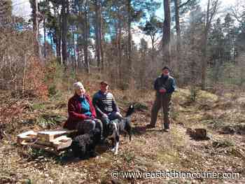 Bolton Wood owner trained with David Bellamy - East Lothian Courier