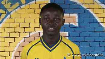 Avversari Grifo, il Modena lancia il guanto di sfida: "Non abbiamo nulla da invidiare al Padova" - Calcio Grifo