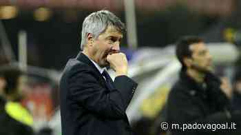 Modena-Padova, Bergodi: “In caso di vittoria potrà dirsi quasi al riparo. E i giocatori-chiave saranno…” - Padova Goal