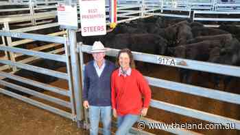 Yass weaner steers to $1890