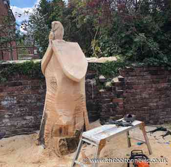 Sculptor expertly carves design into Bolton singer's tree