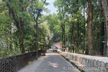Urban sacred groves in Sikkim store more carbon than natural forest - Mongabay-India