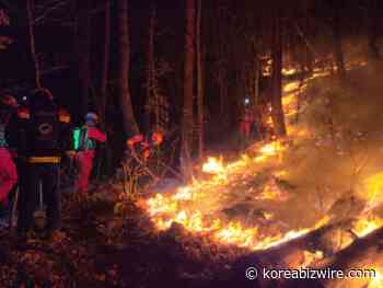 Cleaning Fallen Leaves, Pruning Tree Branches Highly Effective in Preventing Forest Fires - The Korea Bizwire