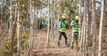 Apple announces $200 million investment fund for forest restoration projects - 9to5Mac
