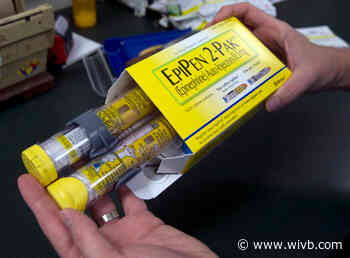 Bill introduced for DEC rangers to carry EpiPens