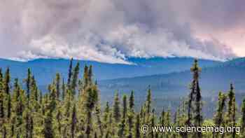 Alaska's forest fires are shifting the region's carbon balance—sometimes for the better - Science Magazine