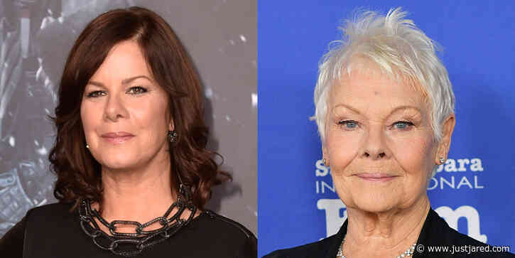 Marcia Gay Harden Apologizes to Judi Dench After Interview Comment Goes Viral