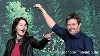 Die Grünen: Das Wirtschafts-Netzwerk von Annalena Baerbock und Robert Habeck