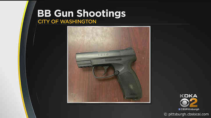 Police In Washington Warning Parents Of BB Gun Game ‘Assassin’