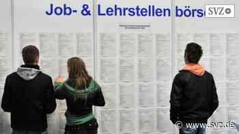 Ausbildung im Kreis Ludwigslust-Parchim: Unternehmen gehen online auf Nachwuchssuche | svz.de - svz – Schweriner Volkszeitung