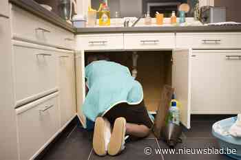 Poetsvrouw (29) steelt horloge van 9.000 euro, maar wordt in de val gelokt door eigenaar