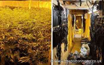 Man released under investigation after large cannabis farm found in Bolton