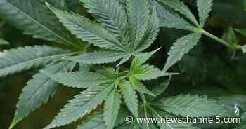 Senate bill allowing for possession of medical marijuana passes in committee - NewsChannel5.com