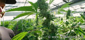 Official Trailer for 'Going to Pot' Doc Film About Marijuana Industry