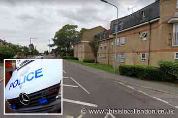 Essex Police appeal following Waltham Abbey hit-and-run