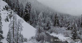 With ‘Earth Moods’ and Its Ilk, TV Goes From Meditative to Vegetative