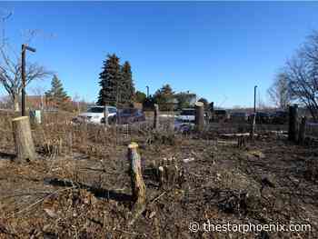 By the numbers: Meewasin, Montgomery solar power plant among projects boosted by funding announcement