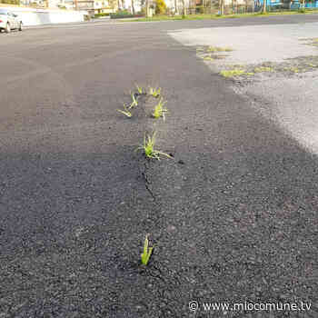 Scalea, nella nuova area fiere cresce già l'erba sull'asfalto. L'attacco di Orrico - miocomune