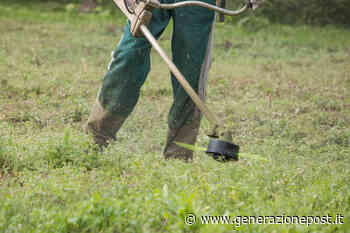 Quale decespugliatore comprare per falciare anche l'erba più tenace | Generazione Post - GenerazionePost