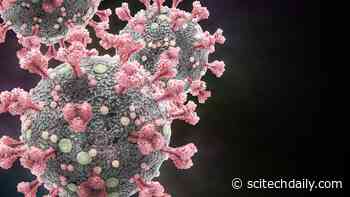 COVID-19: Scientists Identify Human Genes That Fight SARS-CoV-2 Infection