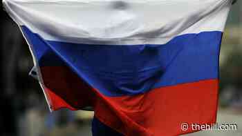 EU politician calls for U.S. to sanction Russian gas pipeline