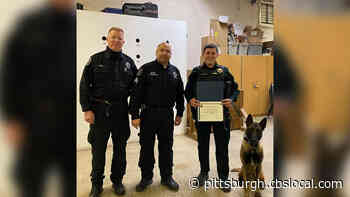 Two New K9 Teams Graduate From Pittsburgh Police K9 School
