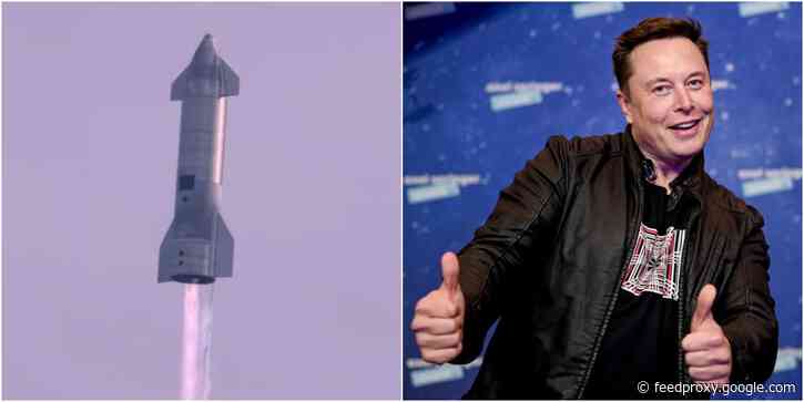 NASA has reportedly picked SpaceX's Starship to land its next astronauts on the moon