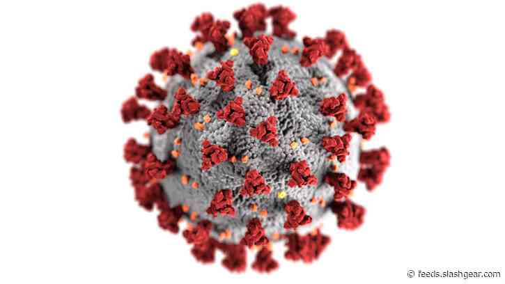 We need a COVID-19 blood clot and vaccine breakthrough reality check