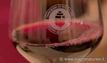 Teatro Naturale Tracce Italia E' boom per il Primitivo di Manduria - Teatro Naturale