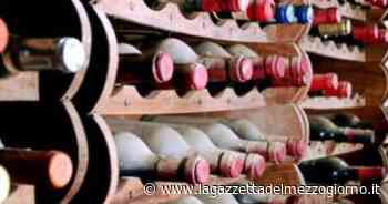 Primitivo di Manduria, produzione +26% nel 2020 e giro d'affari di 182 mln - La Gazzetta del Mezzogiorno