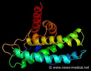 Ebola virus's key protein uses molecular triggers in the human cell to change shape - News-Medical.net