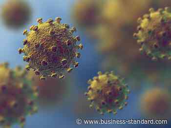 Global coronavirus infection rate approaching highest, says WHO - Business Standard