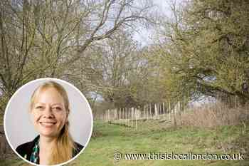 Sian Berry pledges to 'gold plate' London's green belt