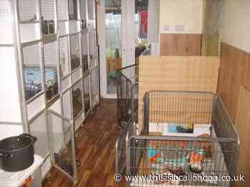 Unlicensed dog breeders ordered to pay £48,000