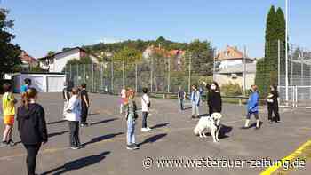 »Buddy« ist ein Klassenhund - Wetterauer Zeitung