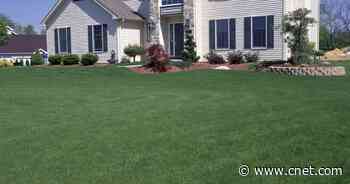 Lawn care 101: Essentials to keeping your lawn healthy and beautiful     - CNET