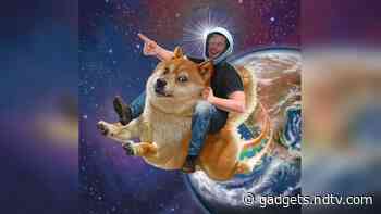 Dogecoin Rides Cryptocurrency Wave to Jump 160 Percent. Elon Musk Eyes Vindication
