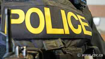 Ontario police say no after province greenlights random police stops