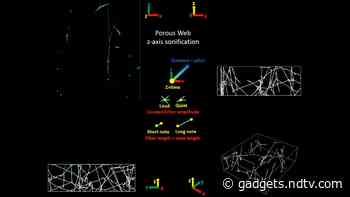 Ever Heard What a Spiderweb Sounds Like? It’s Spookier Than Spiders